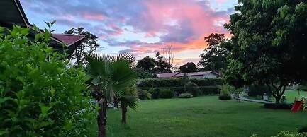 Palette Alaya Resort