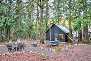 Hike, Ski & Explore: Rhododendron Forest Retreat!