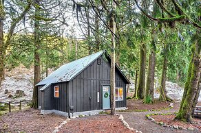 Hike, Ski & Explore: Rhododendron Forest Retreat!
