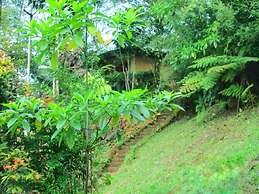 Sinharaja Eco Lodge