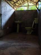 Yala Jungle Haven