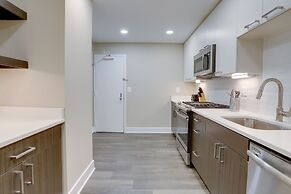 Crystal City Apt for Business Travelers