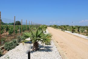 Smiles & Sunsets - Marino's Resort