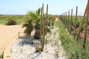 Smiles & Sunsets - Marino's Resort