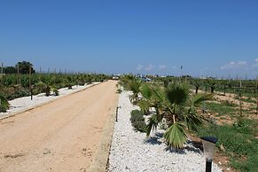 Smiles & Sunsets - Marino's Resort