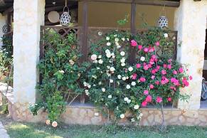 Smiles & Sunsets - Marino's Resort