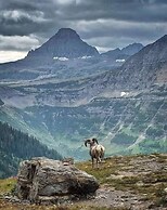 Glacier National Park Travel Agency