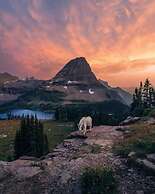 Glacier National Park Travel Agency