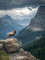 Glacier National Park Travel Agency