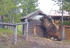 Glacier National Park Travel Agency