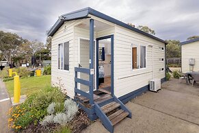 Pet Friendly On The Great Ocean Road