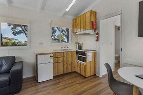 Pet Friendly On The Great Ocean Road