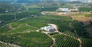 Orange Grove Residence