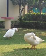 Fun And Food Resort N Water Park