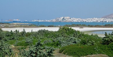 Fabulous Holiday Villa in Naxos Island