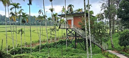 Paddy View Resort