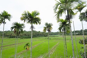 Paddy View Resort