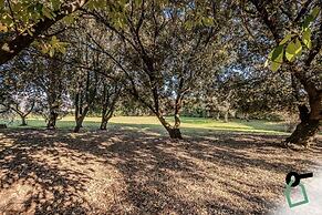 Hotiday Room Collection - Sarzana