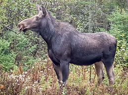 2 Person Holiday Home in Uddevalla