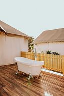 Yadu's Jawai By Alcor