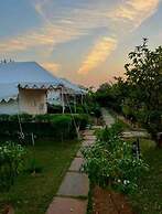 Jungle Book - A Nature Escape