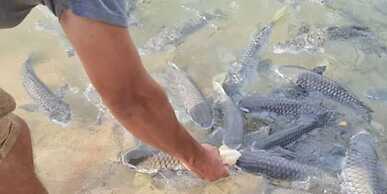 Anchor Point Penthouse Marina Views Pool Bbqs