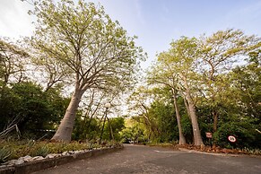 First Group Sanbonani Resort