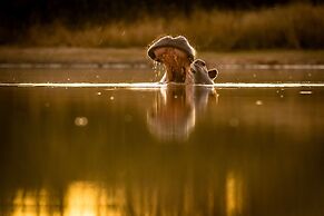 First Group Sanbonani Resort