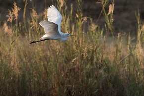 First Group Sanbonani Resort