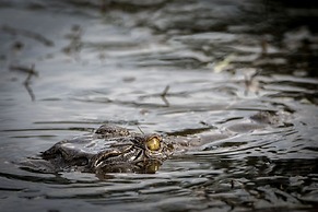 First Group Sanbonani Resort