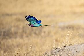 First Group Sanbonani Resort