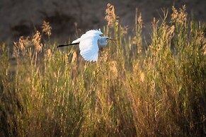 First Group Sanbonani Resort