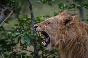 First Group Sanbonani Resort