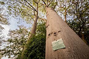 First Group Sanbonani Resort