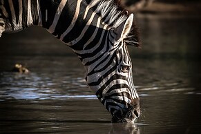 First Group Sanbonani Resort