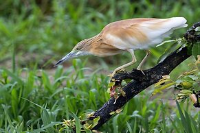 First Group Sanbonani Resort