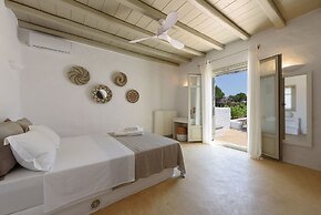 Villa Vinea Paros