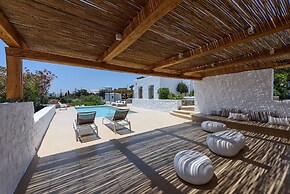 Villa Vinea Paros