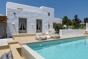 Villa Vinea Paros