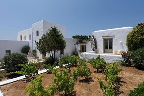 Villa Vinea Paros