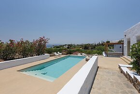 Villa Vinea Paros