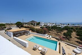 Villa Vinea Paros