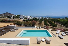 Villa Vinea Paros