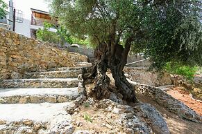 Ortaki Traditional House