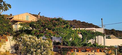 Peaceful Private Cottage Retreat in Countryside