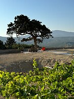 Peaceful Private Cottage Retreat in Countryside