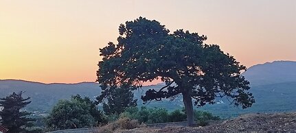 Peaceful Private Cottage Retreat in Countryside