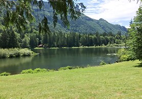 Room-mt Baker Apt, Pets OK, Wifi and AC