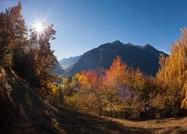 Superior Chalet mit 4 Schlafzimmern & Wellness