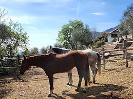 Agriturismo Scuderia Castello